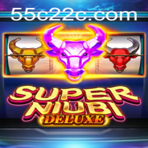 55C22.COM Casino App